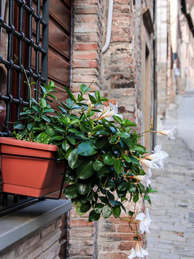Casa Armanni - La Tua Casa Di Pietra Gubbio Exterior foto